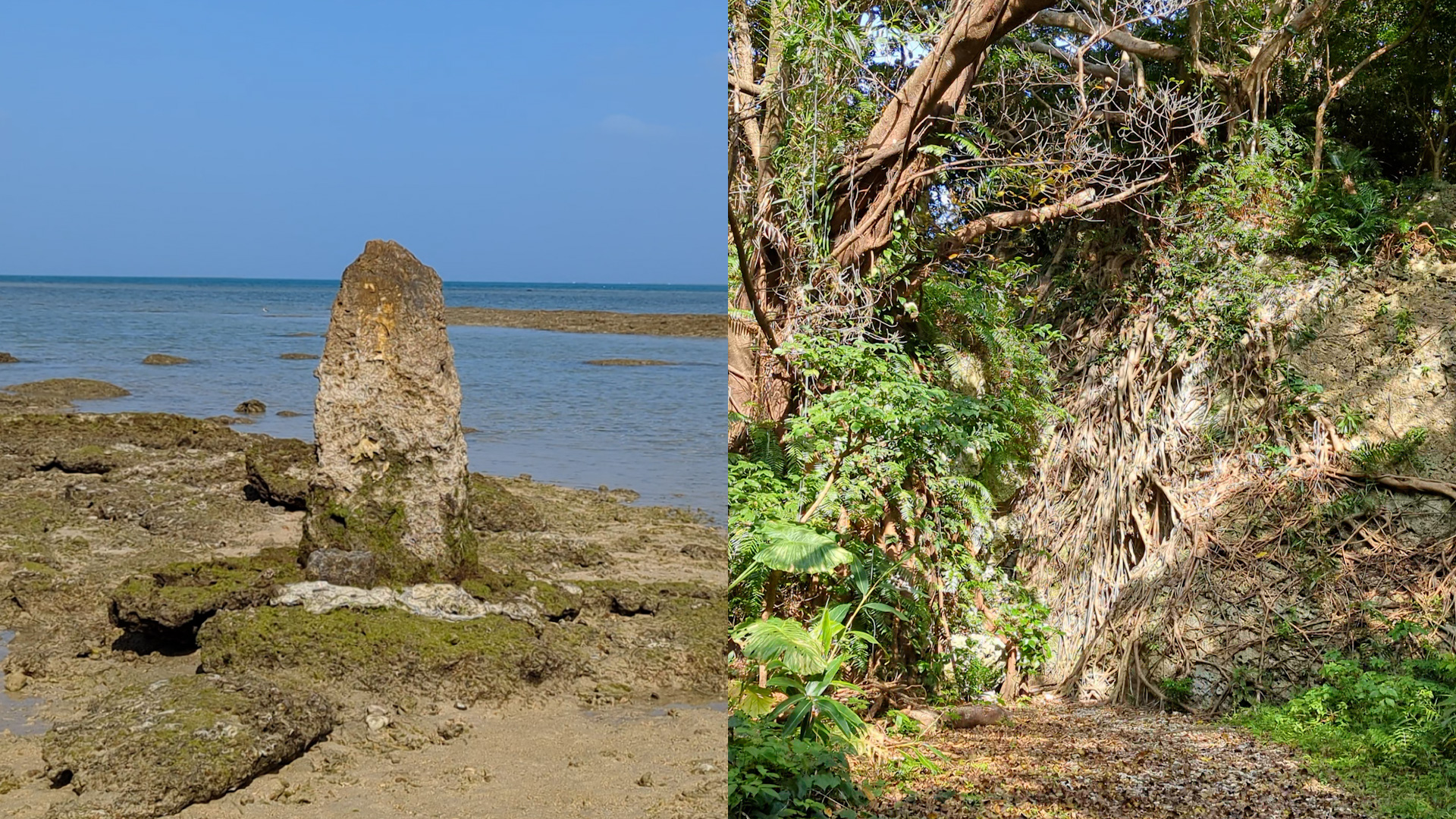 【アマミキヨの聖地】ヤハラヅカサ・浜川御嶽